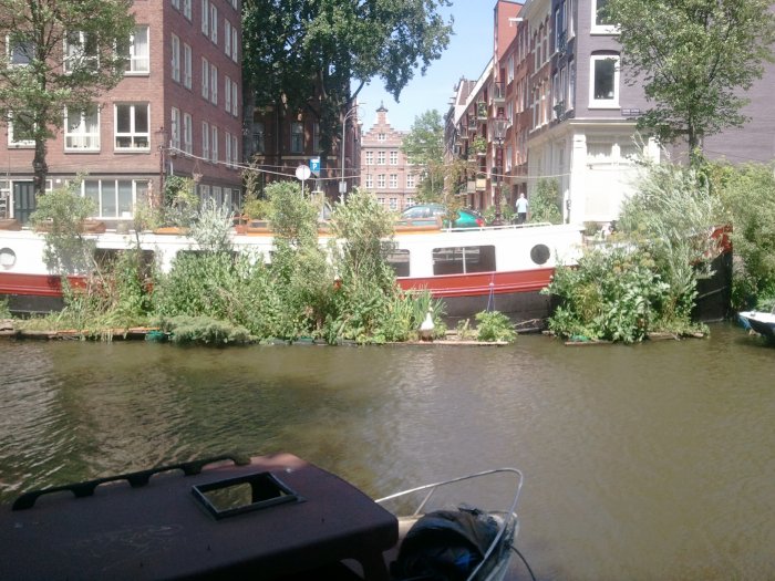 Watertuin in de Nieuwe Achtergracht in A'dam